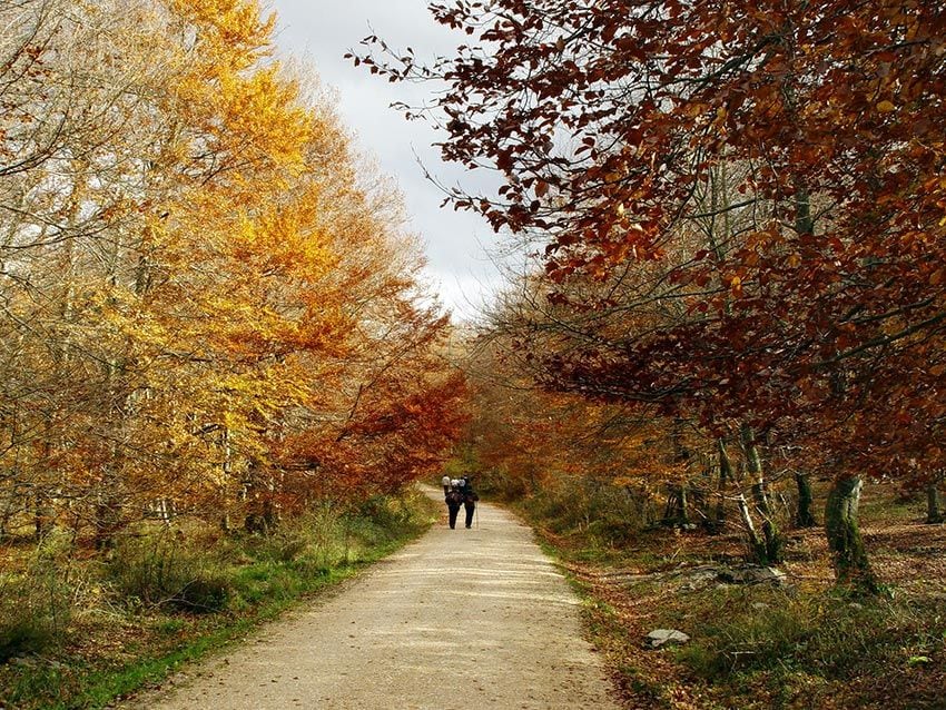 BURGOS-monte-Santiago