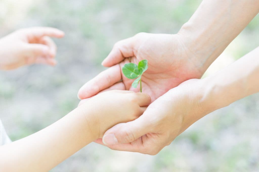 Niño dando un trébol a otra persona, en contexto de frases de paz para niños