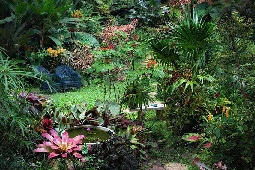 Naturaleza exuberante en Barbados