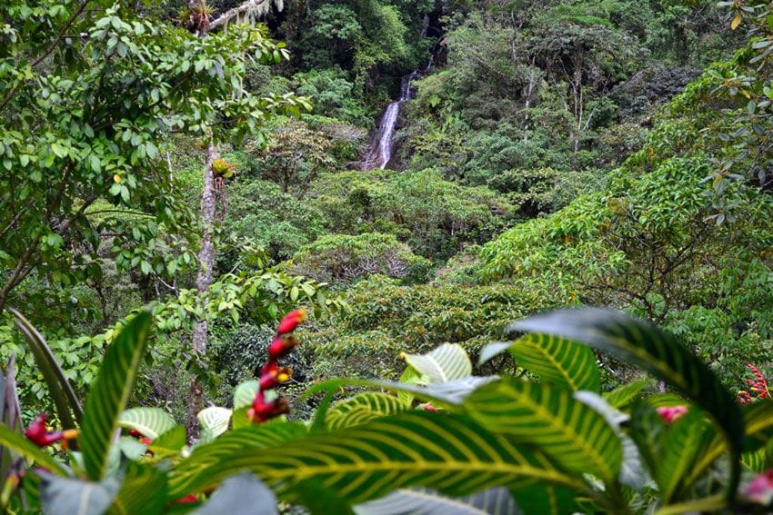 Entorno del hotel Quelitales en Costa Rica