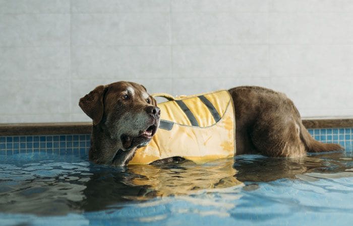 Rehabilitación en el agua