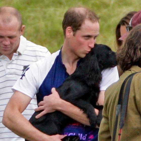 lupo el perro del pr ncipe william y kate middleton