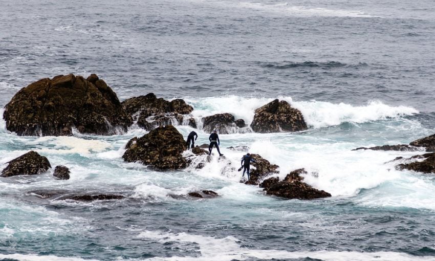 percebeiros en galicia