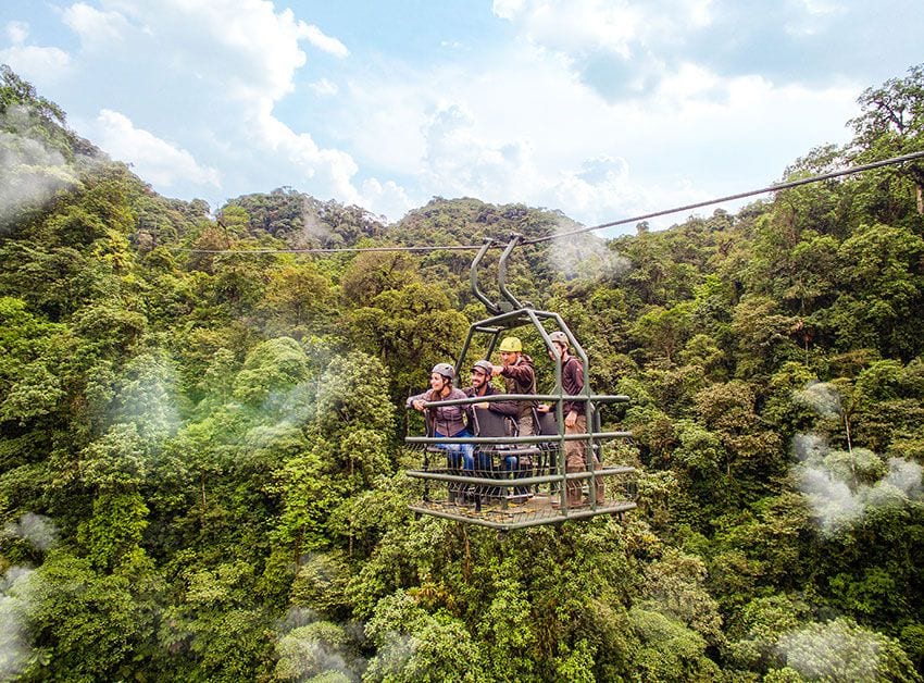 bosque-choco-ecuador-3