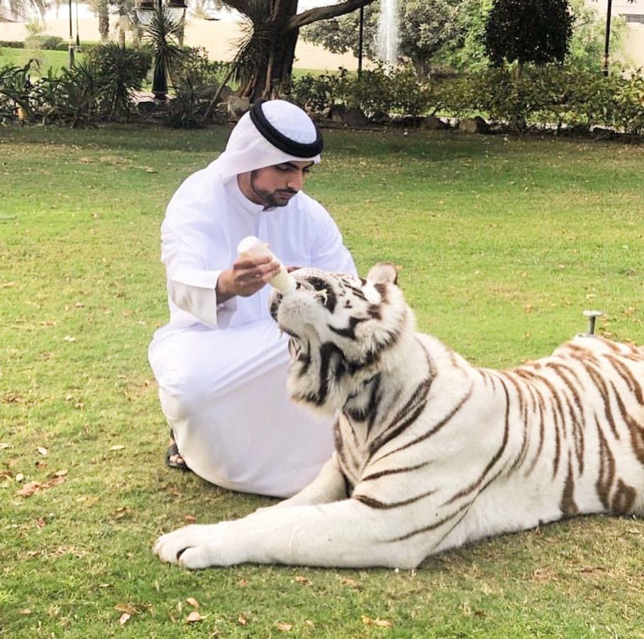 El jeque de Dubái Mana Al Maktoum