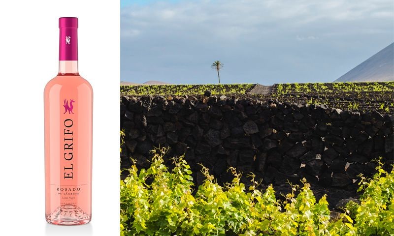 vino rosado grifo canarias 2018 bodegas