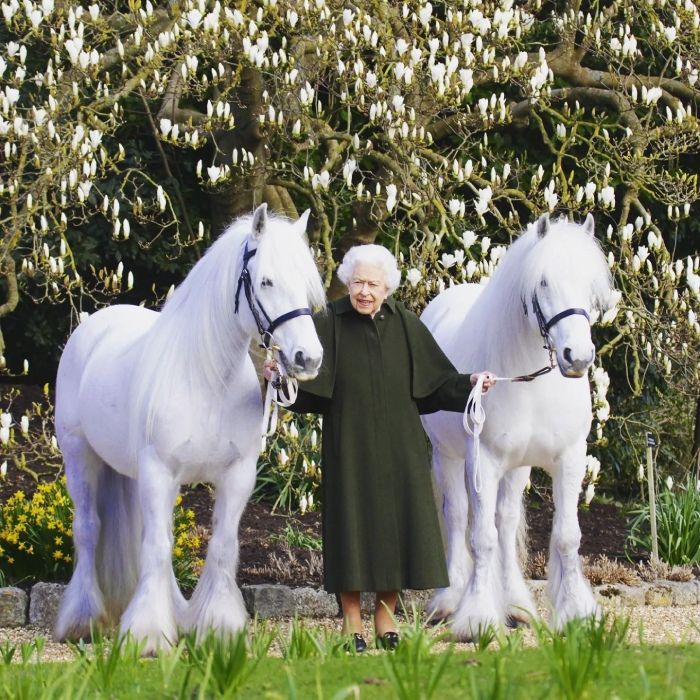 reina-isabel-caballos