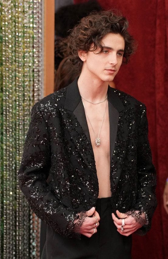 Timothée Chalamet: su 'blazer' de lentejuelas o cómo desafiar los cánones del género