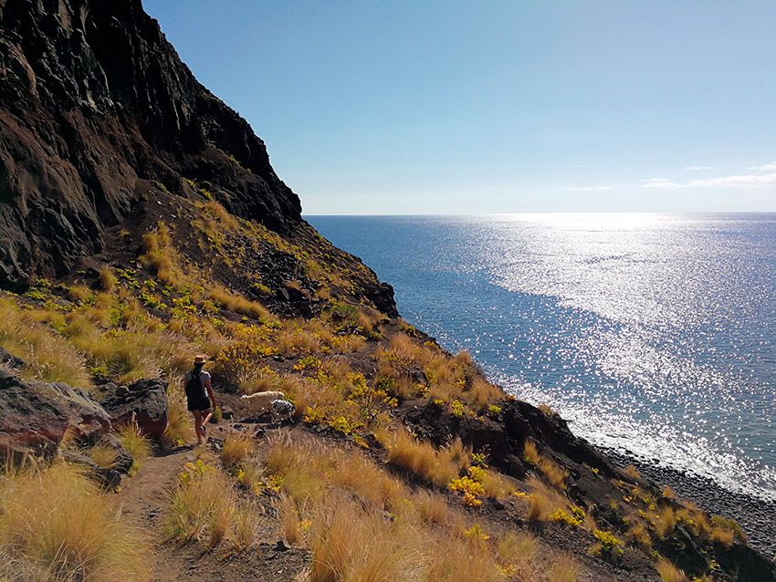 guayebra-treking-gran-canaria