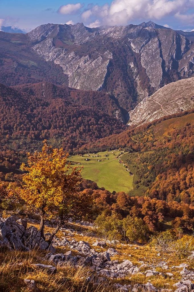 branagallones asturias