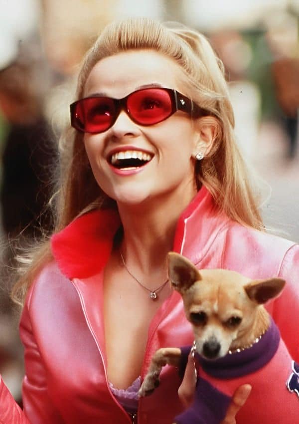 legally blonde 2