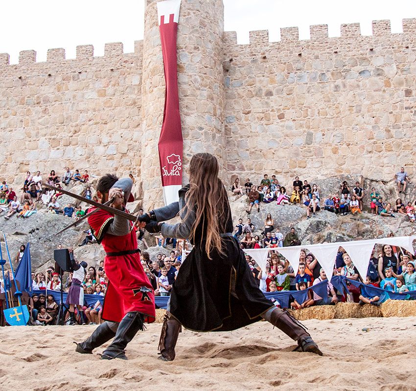 Jornadas medievales Ávila