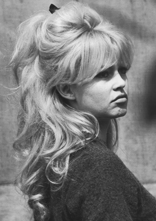 brigitte bardot coleta