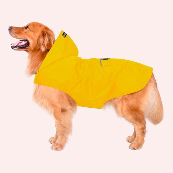 EL MEJOR IMPERMEABLE PARA PERROS EN AMAZON