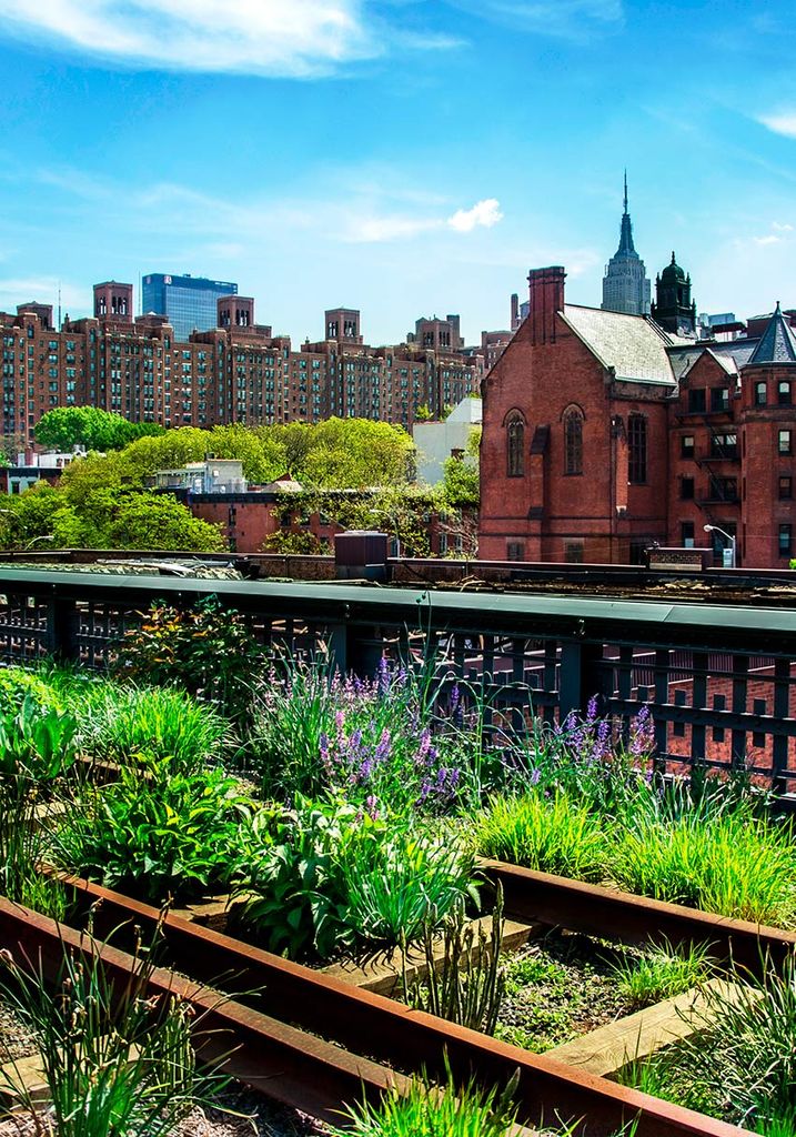 High Line, Chelsea (Nueva York)