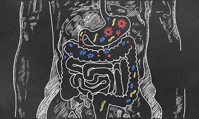 Controla estos alimentos para paliar el colon irritable