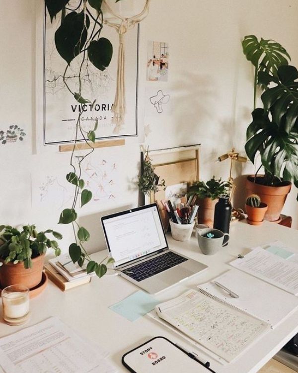 Decoración de escritorio aesthetic con plantas