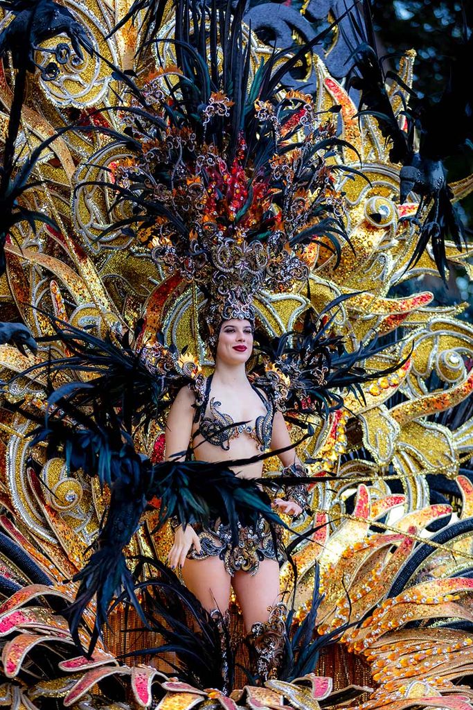 Carnaval de Santa Cruz de Tenerife