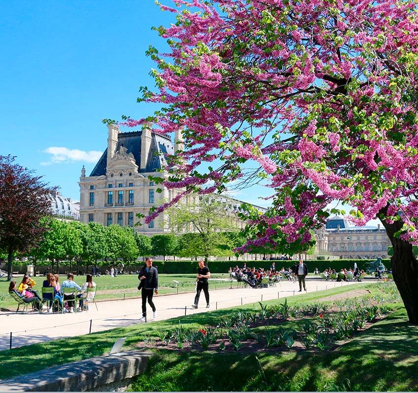  Jardín de Las Tuileries, Pabellón de Marsan