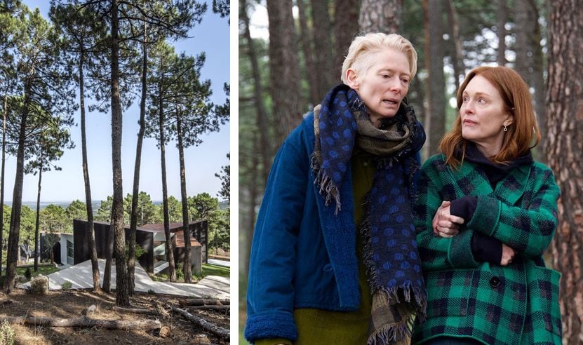 Pinar de la 'Casa Szoke’ y protagonistas recorriéndolo, enormes Tilda Swinton y Julianne Moore