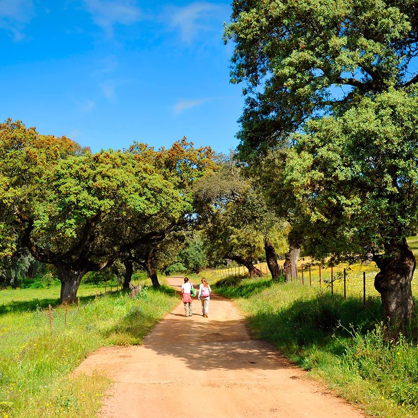 huelva-aracena-picos-de-aroche