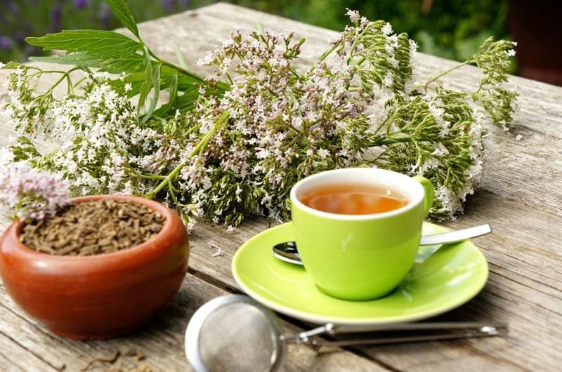 valeriana cambio hora