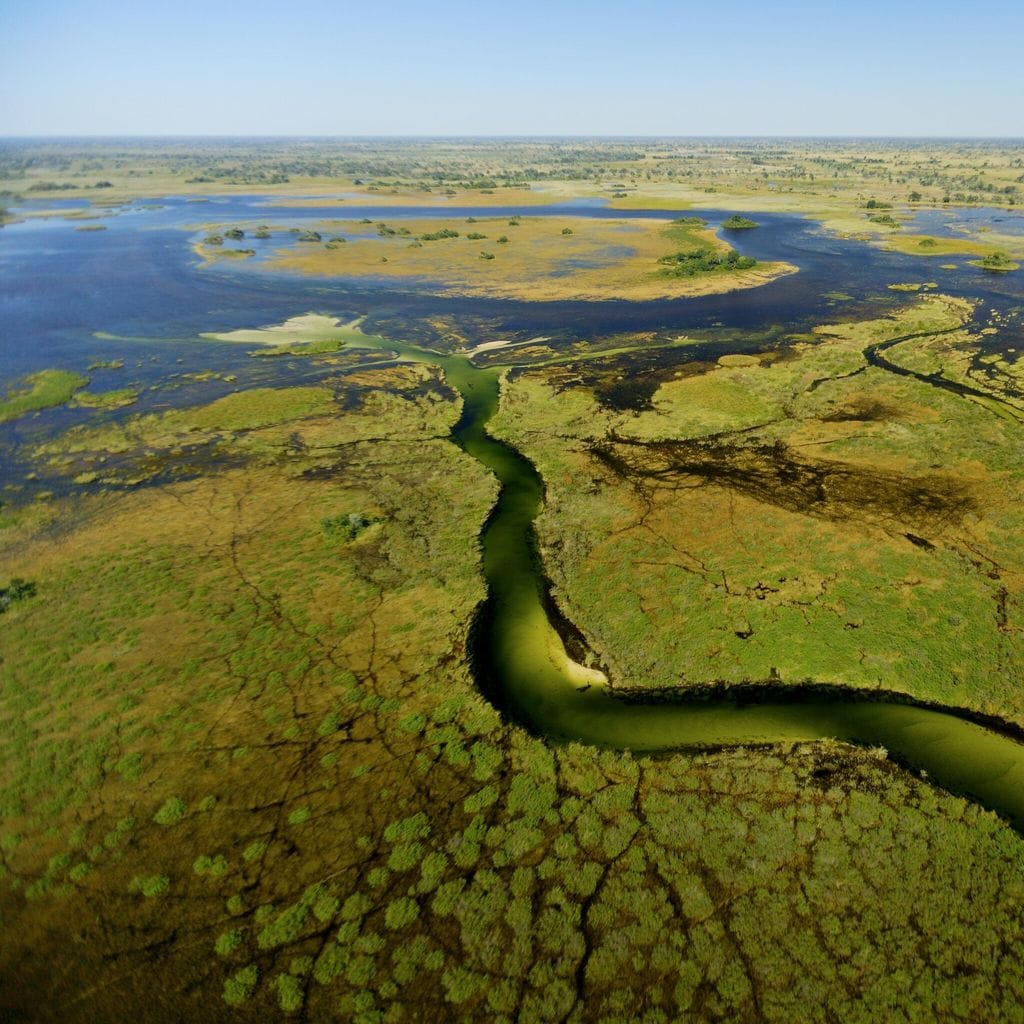 Botswana. Okavango Delta