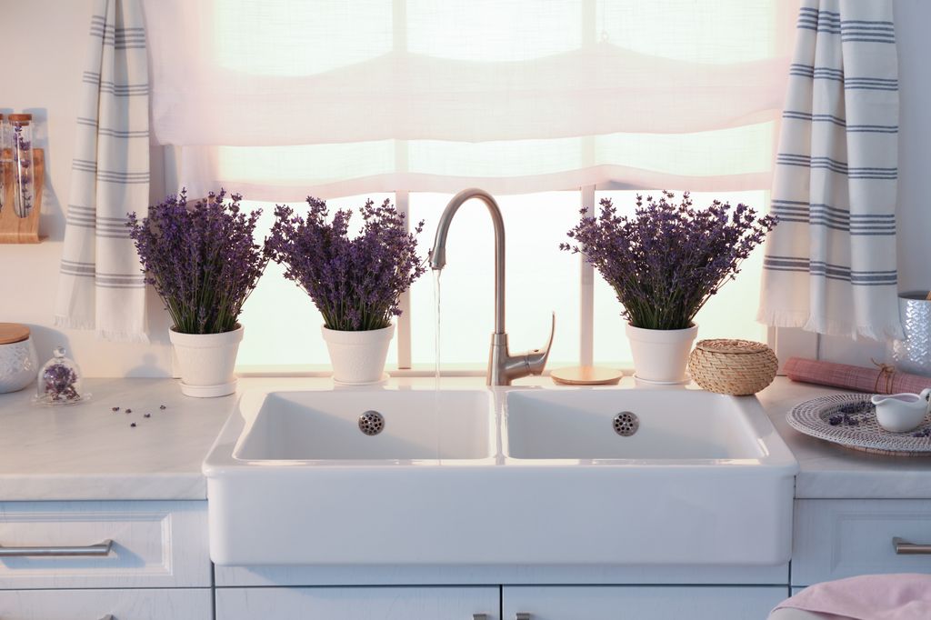 Macetas con lavanda en una cocina