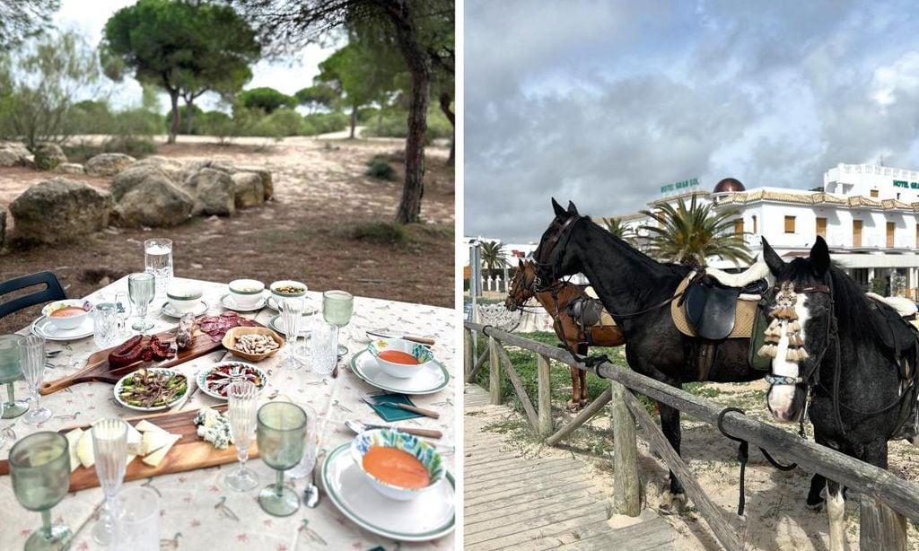 MESA DE ALMUERZO-Collage-U06017824000eaT