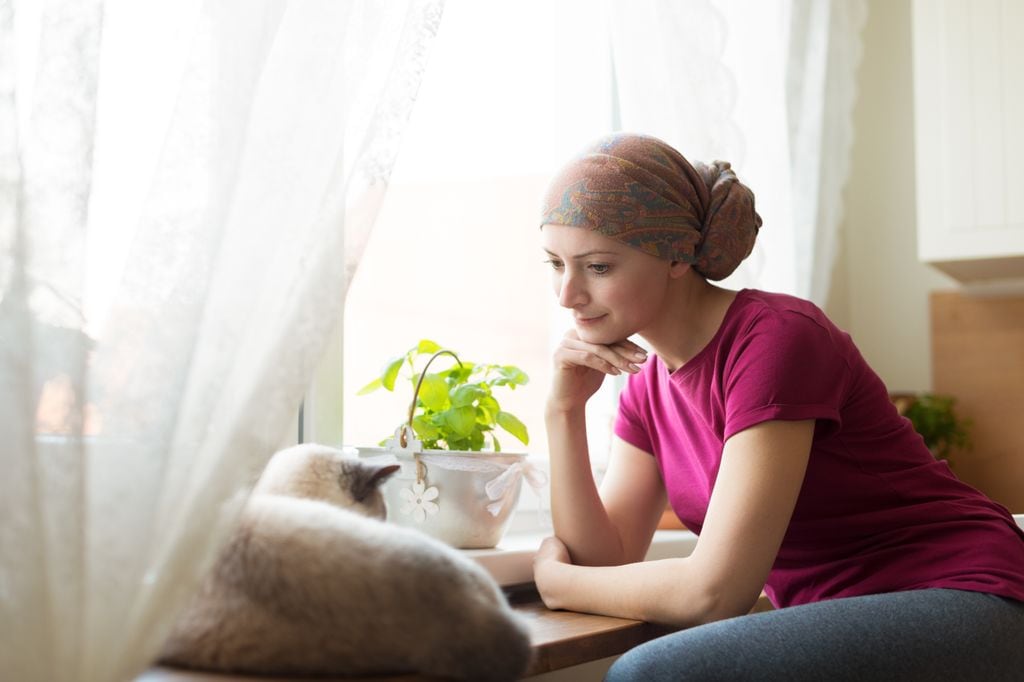 mujer con cáncer pensativa junto a la ventana, mirando a su gato