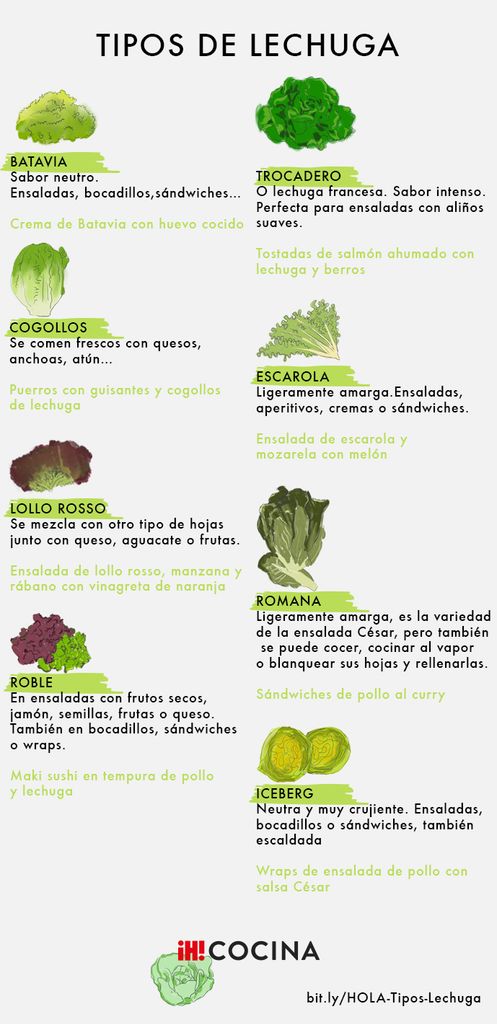 TIPOS DE LECHUGA