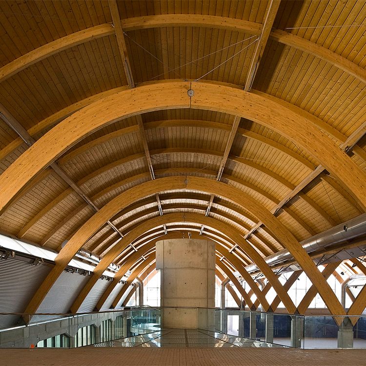 Detalle cúpula madera Bodegas Protos
