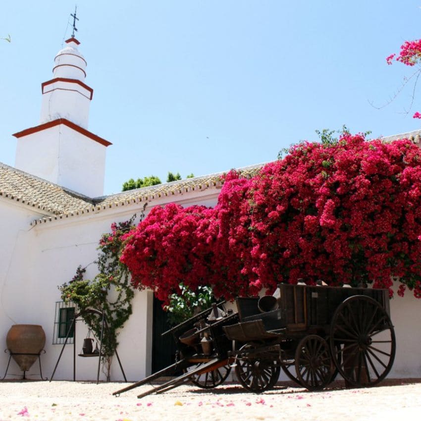 Patio de Lagar de Hacienda Guzmán.