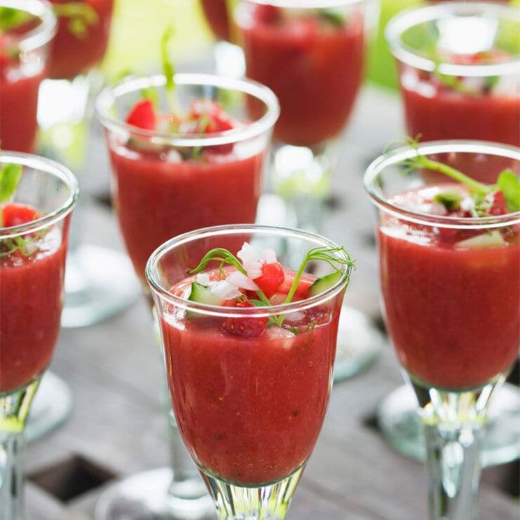 vasitos gazpacho age