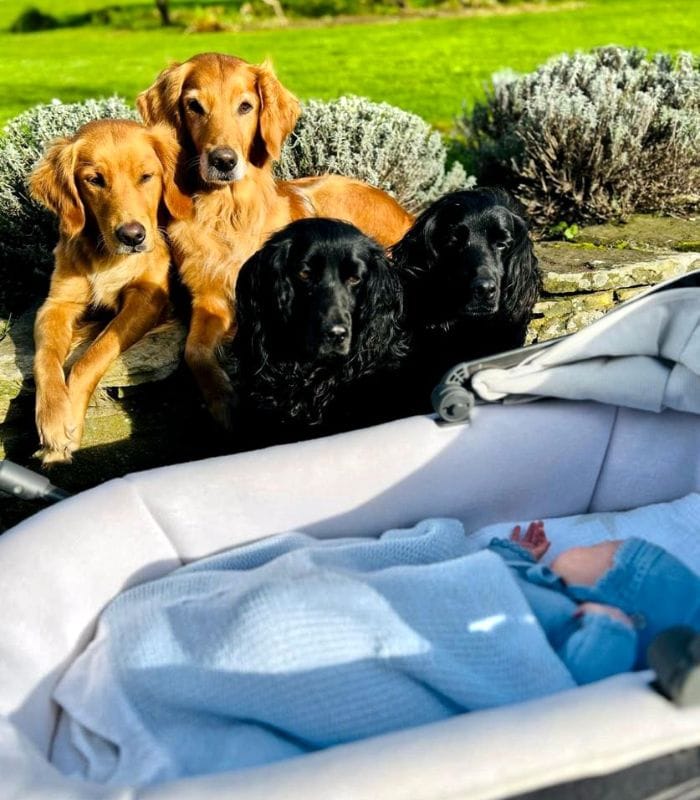 El hijo y las mascotas de James Middleton 