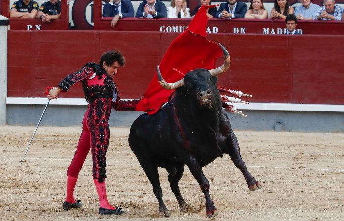 Andrés Roca Rey toreando