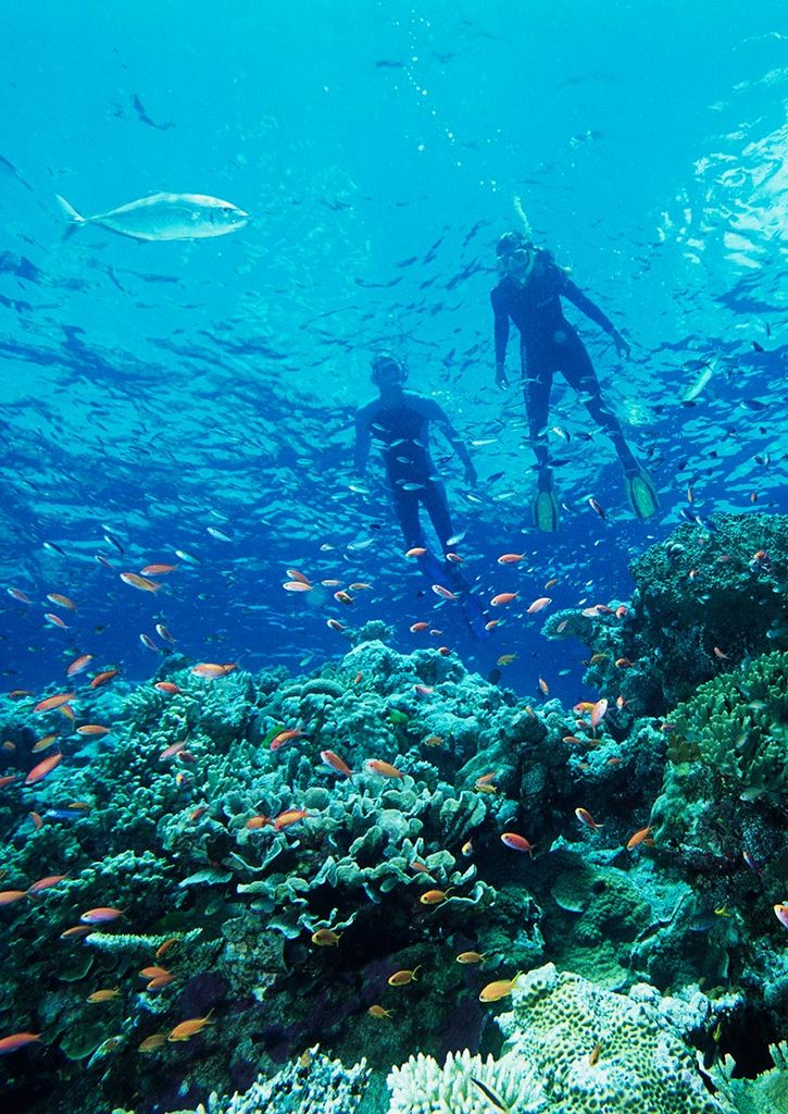 Gran Barrera, Australia