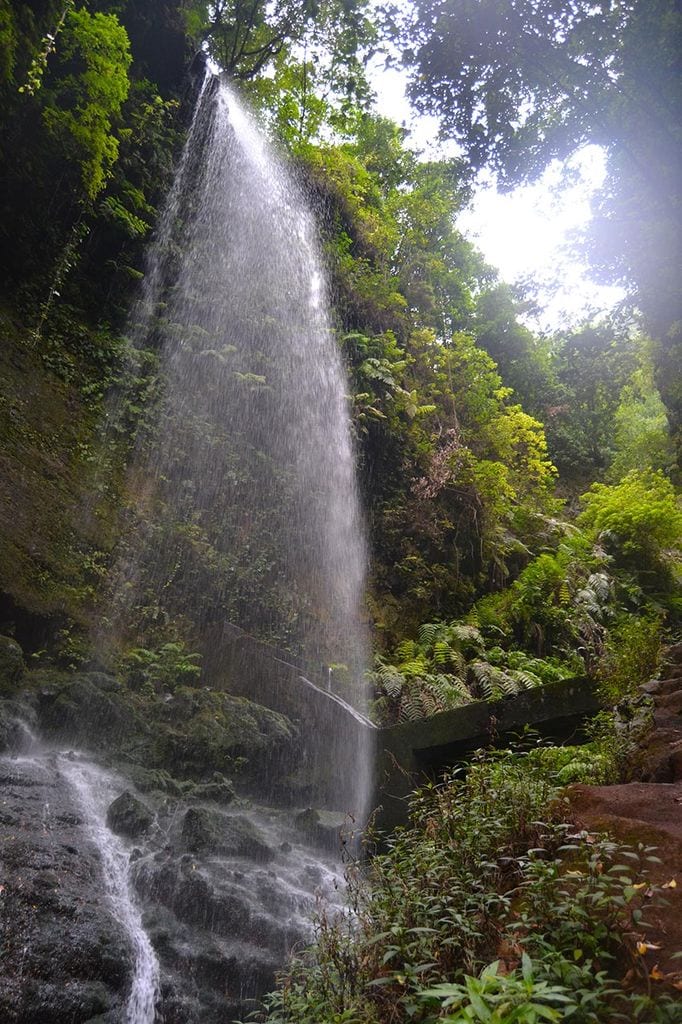 Cascada en el Bosque de los Tilos 