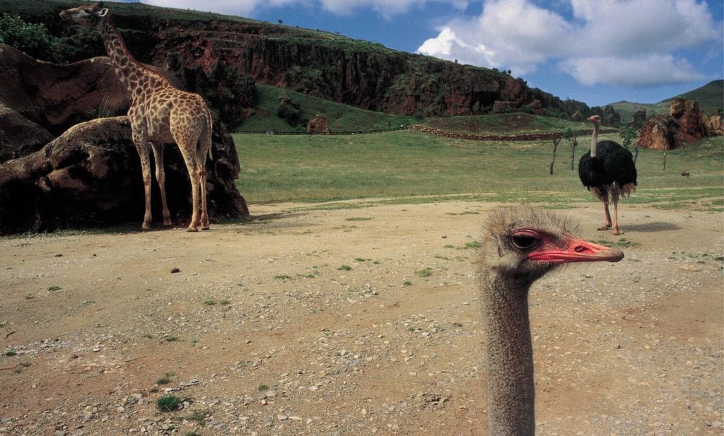 el parque de la naturaleza de cab rceno