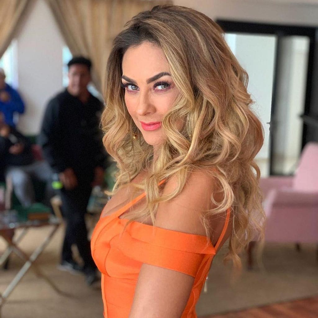 Aracely Arámbula