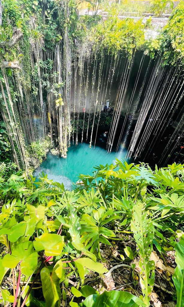 Cenote sagrado Ik-Ki LIVING 31