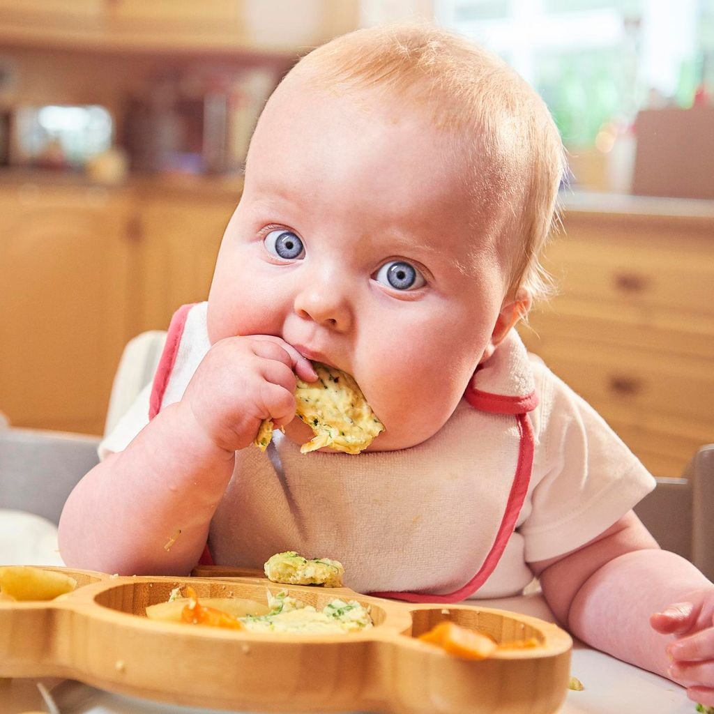 Baby-Led Weaning