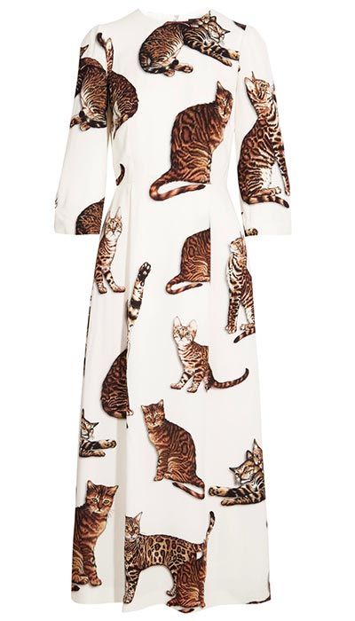 shopping_gatos_dolce_and_gabbana_1