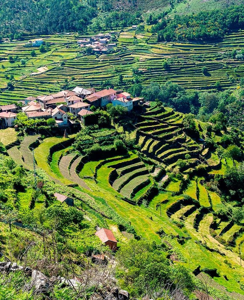 sistelo portugal