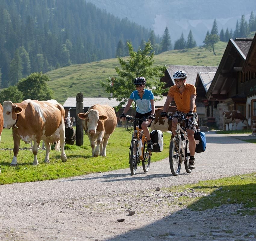 En bici por las granjas del Tirol, Austria