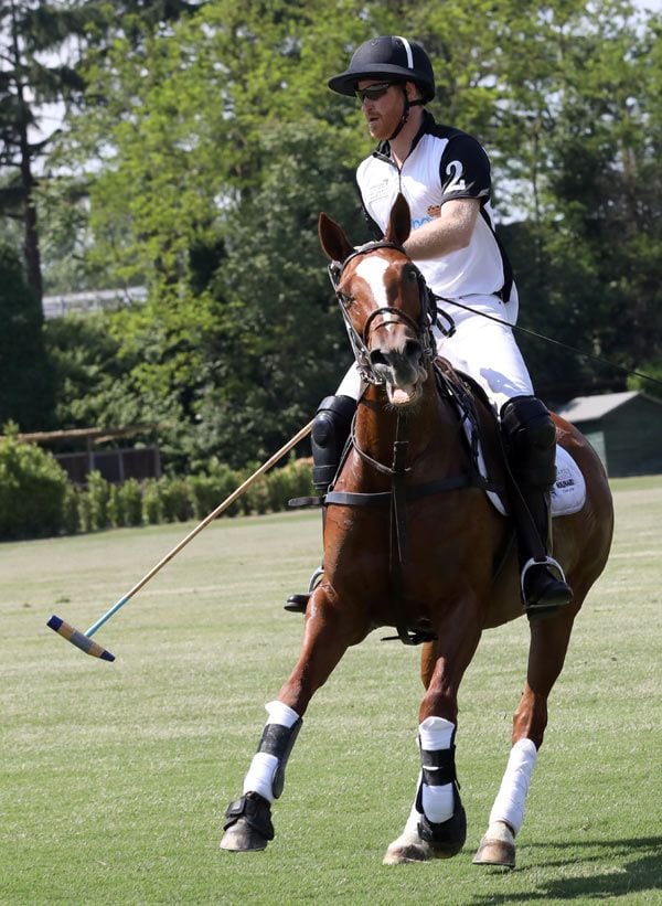 principe harry polo