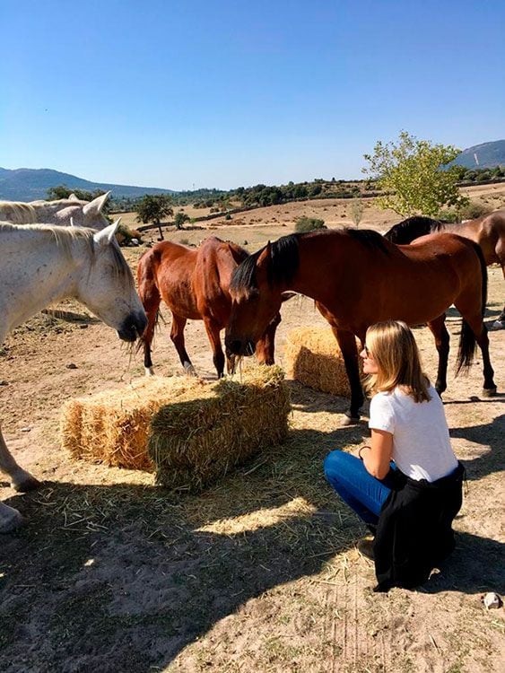 Caballos como aliados del coach personal