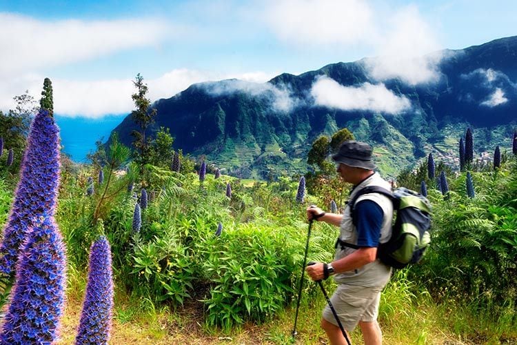 Madeira-Levada-da-Faja-da-Ama