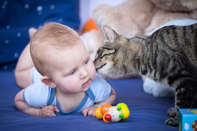 Beneficios de que los niños crezcan con mascotas