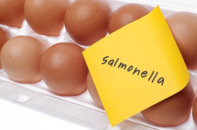 Una diarrea puede acabar siendo salmonelosis